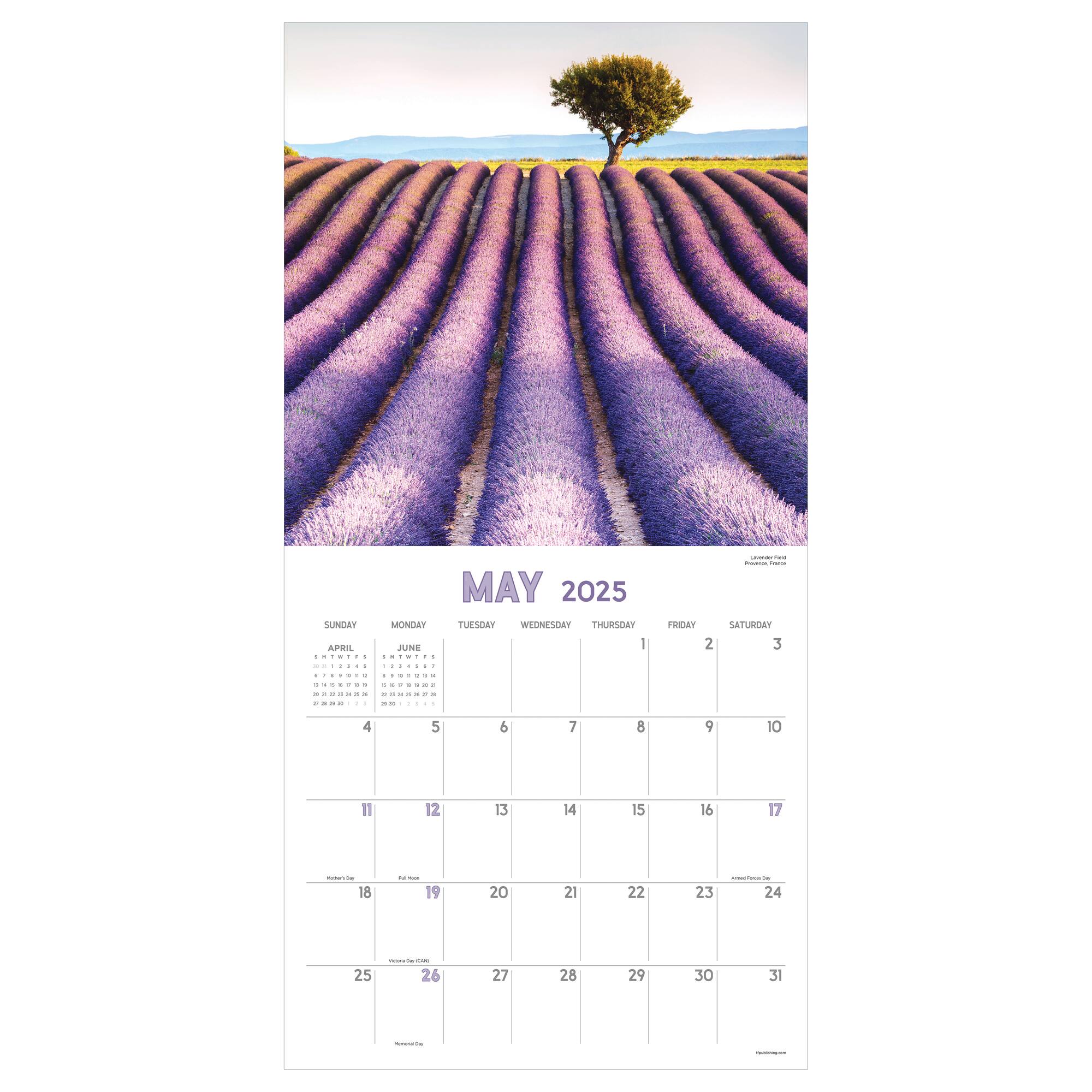 TF Publishing 2025 Landscapes Wall Calendar